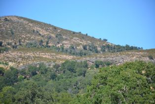 Agriculture,  Monticello road, Napa, CA 94558 - 40