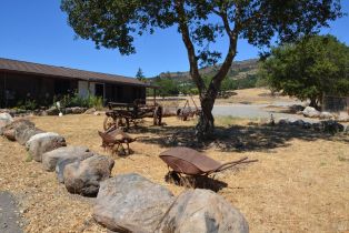 Agriculture,  Monticello road, Napa, CA 94558 - 17