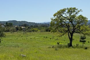 Agriculture,  Monticello road, Napa, CA 94558 - 5