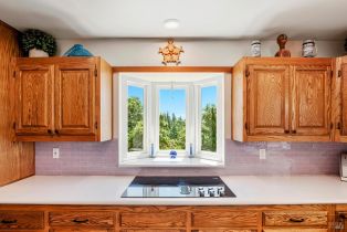 Single Family Residence, West lane, Angwin, CA 94508 - 22