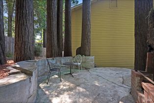 2 Houses on Lot, 14785 Armstrong Woods road, Russian River, CA 95446 - 36