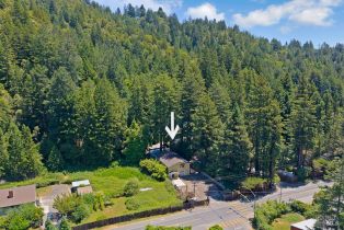 2 Houses on Lot, 14785 Armstrong Woods road, Russian River, CA 95446 - 3