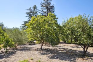 Single Family Residence,  5th street, Sonoma, CA 95476 - 68