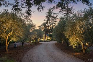 Single Family Residence,  5th street, Sonoma, CA 95476 - 72