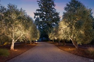 Single Family Residence,  5th street, Sonoma, CA 95476 - 77