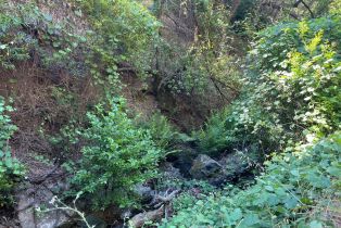 Recreation, 9027 Stewarts Point Skaggs Springs road, Healdsburg, CA 95448 - 12