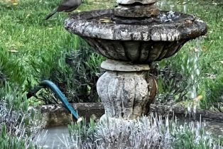 Single Family Residence,  WOOD VALLEY road, Sonoma, CA 95476 - 27