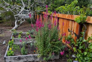 Single Family Residence,  WOOD VALLEY road, Sonoma, CA 95476 - 29