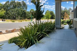 Single Family Residence,  Portello lane, Windsor, CA 95492 - 2