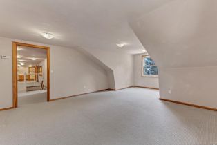 Single Family Residence, Cold Springs road, Angwin, CA 94508 - 37