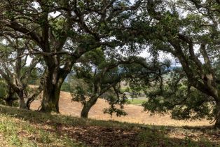 Residential Acreage,  Foster road, Napa, CA 94558 - 3