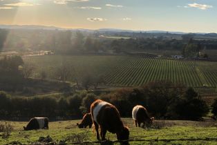 Residential Acreage,  Foster road, Napa, CA 94558 - 6