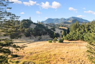 Single Family Residence, State Highway 128 none, Calistoga, CA 94515 - 41