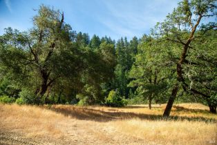 Single Family Residence,  Wickersham Ranch road, Cloverdale, CA 95448 - 16