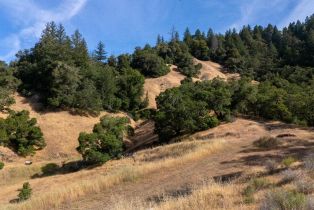 Single Family Residence,  Wickersham Ranch road, Cloverdale, CA 95448 - 25