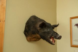 Single Family Residence,  Wickersham Ranch road, Cloverdale, CA 95448 - 8