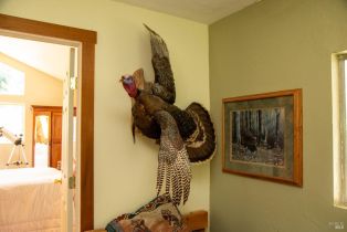 Single Family Residence,  Wickersham Ranch road, Cloverdale, CA 95448 - 7