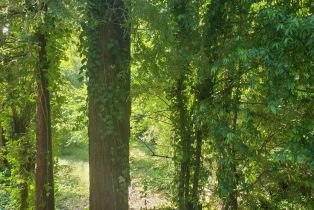 Single Family Residence,  Drake road, Russian River, CA 95446 - 60