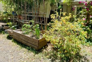 Single Family Residence,  Drake road, Russian River, CA 95446 - 58