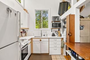 Single Family Residence,  Drake road, Russian River, CA 95446 - 7