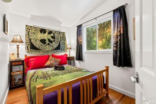 Single Family Residence,  Drake road, Russian River, CA 95446 - 38