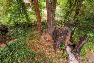 Single Family Residence,  Drake road, Russian River, CA 95446 - 71