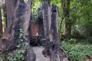 Single Family Residence,  Drake road, Russian River, CA 95446 - 61