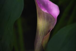 Single Family Residence,  Drake road, Russian River, CA 95446 - 79