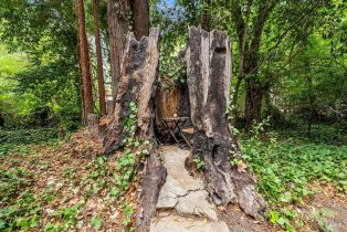 Single Family Residence,  Drake road, Russian River, CA 95446 - 62