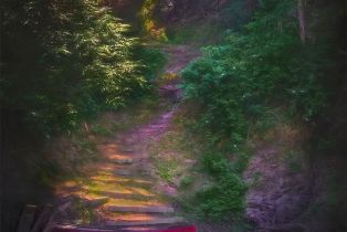 Single Family Residence,  Drake road, Russian River, CA 95446 - 80