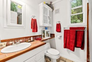 Single Family Residence,  Drake road, Russian River, CA 95446 - 41