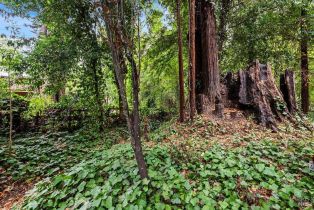 Single Family Residence,  Drake road, Russian River, CA 95446 - 63