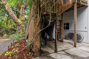 Single Family Residence,  Drake road, Russian River, CA 95446 - 47