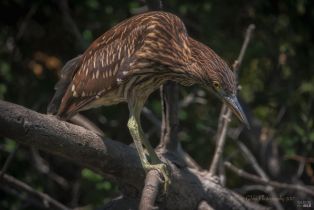 Single Family Residence,  Drake road, Russian River, CA 95446 - 77