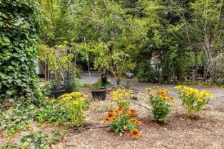 Single Family Residence,  Drake road, Russian River, CA 95446 - 75