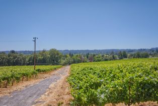 Agriculture,  116 N highway, Russian River, CA 95472 - 27