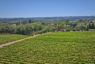 Agriculture,  116 N highway, Russian River, CA 95472 - 26