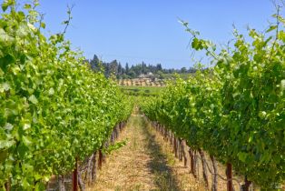 Agriculture,  116 N highway, Russian River, CA 95472 - 9