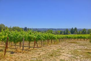 Agriculture,  116 N highway, Russian River, CA 95472 - 11