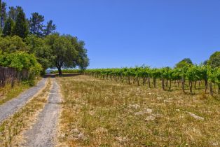 Agriculture,  116 N highway, Russian River, CA 95472 - 10