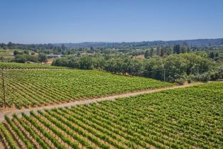Agriculture,  116 N highway, Russian River, CA 95472 - 30