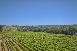 Agriculture,  116 N highway, Russian River, CA 95472 - 24