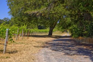 Agriculture,  116 N highway, Russian River, CA 95472 - 16