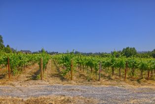 Agriculture,  116 N highway, Russian River, CA 95472 - 22