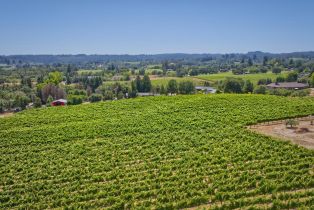 Agriculture,  116 N highway, Russian River, CA 95472 - 25