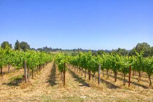 Agriculture,  116 N highway, Russian River, CA 95472 - 14