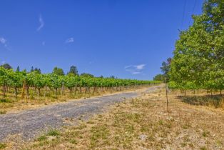 Agriculture,  116 N highway, Russian River, CA 95472 - 15