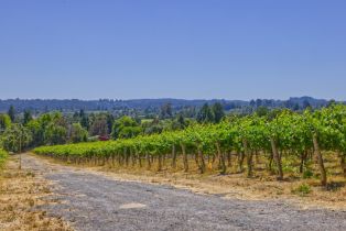 Agriculture,  116 N highway, Russian River, CA 95472 - 2