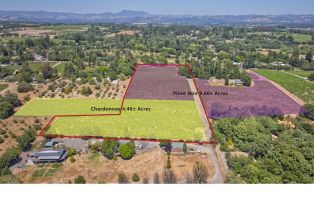 Agriculture,  116 N highway, Russian River, CA 95472 - 8