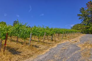 Agriculture,  116 N highway, Russian River, CA 95472 - 21